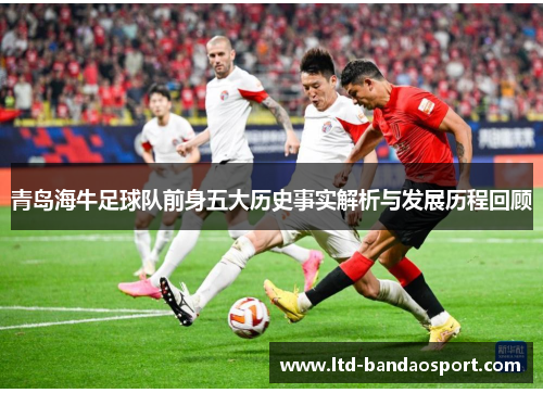 青岛海牛足球队前身五大历史事实解析与发展历程回顾
