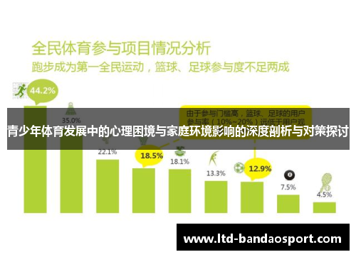 青少年体育发展中的心理困境与家庭环境影响的深度剖析与对策探讨